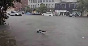 New York में बारिश के कारण अचानक आई बाढ़, शहर में आपातकाल की घोषणा