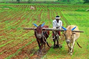 चुनावी बजट में किसानों को मिलेगी रियायतें