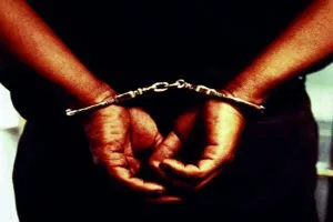 गोवंश तस्करी में 3 लोगों को किया गिरफ्तार