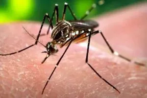 डेंगू व चिकनगुनिया को लेकर जागरूक करने की नई पहल