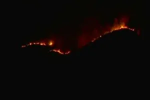तमिलनाडु : आग लगने के बाद जंगल में फंसे 36 लोग , 15 बचाए गए