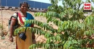इस महिला ने पिछले 13 साल में पति की याद में लगाए 73 हजार पौधे