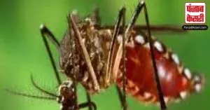 Uttarakhand: देहरादून में लगातार बढ़ रहे डेंगू के मामलों पर प्रशासन हुआ सख्त, जारी किए दिशा निर्देश
