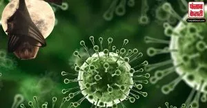 क्या है kerala में दहशत मचाने वाला Nipah Virus? जिससे हुई 2 लोगों की हुई मौत! जानिए इसके लक्षण और बचाव