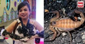 सैकड़ों Scorpions के साथ 33 दिन तक कांच के कमरे में बंद थी महिला फिर भी नहीं हुआ कुछ, जानिए इसका राज..