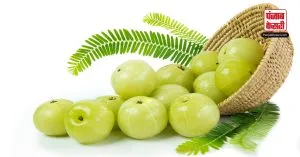 Amla Benefits: इस विंटर आंवले को बनाएं अपनी डाइट का हिस्सा, मिलेंगें ढेरों लाभ