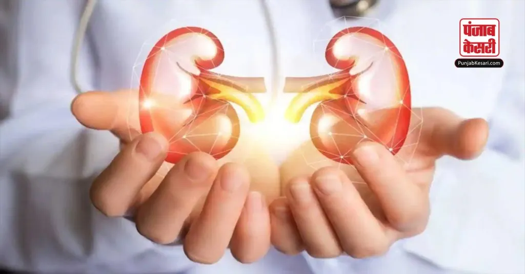 KIDNEY IMAGE