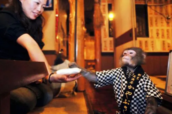 Japan Monkey Restaurant