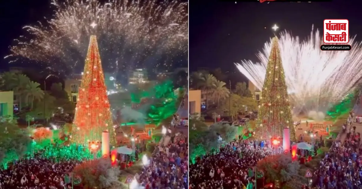 India's tallest Christmas tree