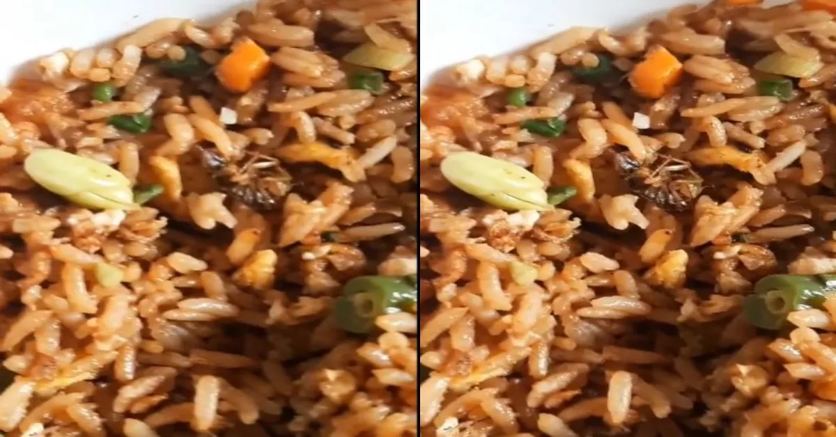 Cockroach in Chicken Fried Rice