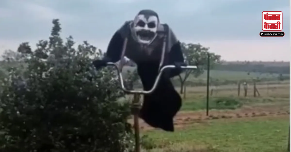 Scarecrow Viral Video