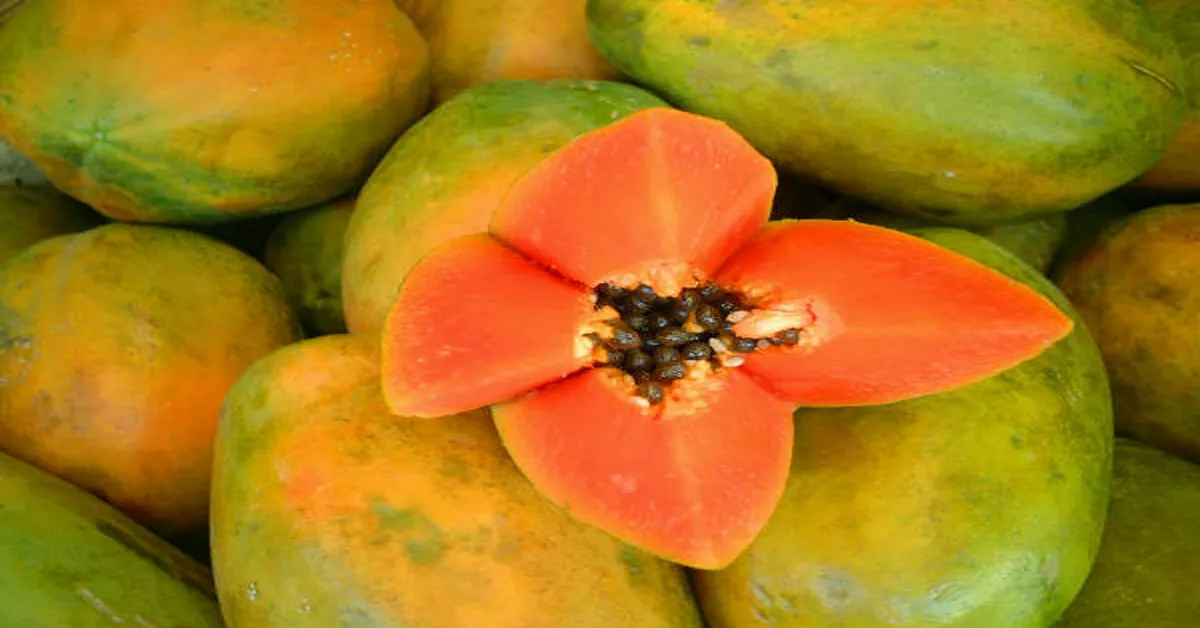 papaya