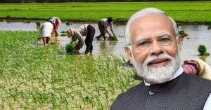 Modi farmer