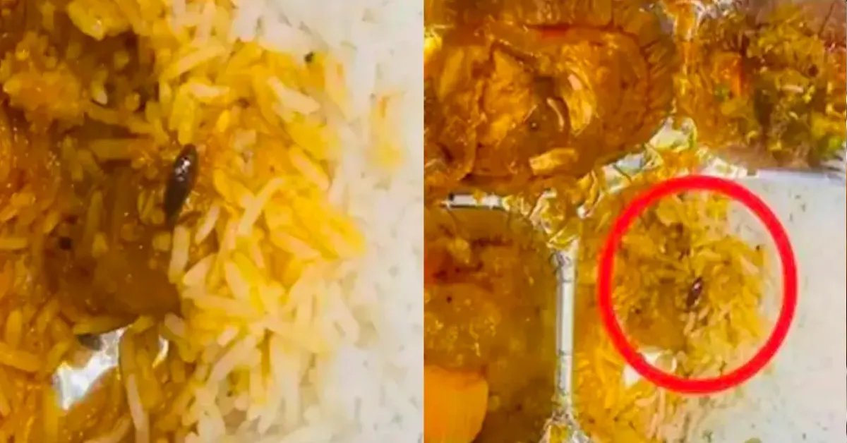 Dead Cockroach in Vande Bharat Food