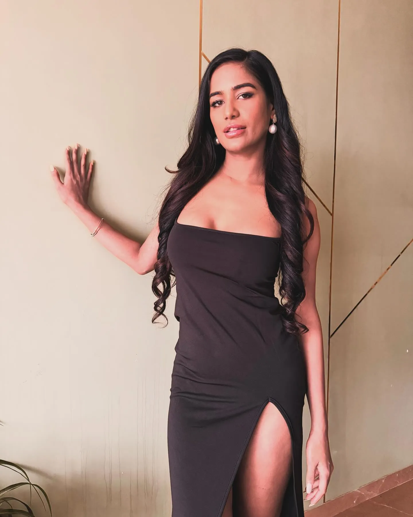 poonam pandey deleted all cervical cancer post 