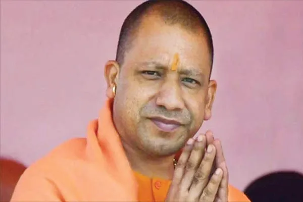 cm yogi1 3