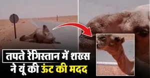 Viral Video: तपते रेगिस्तान में शख्स ने की ऊंट की मदद, लोगों ने कहा-इंसानियत जिंदा है