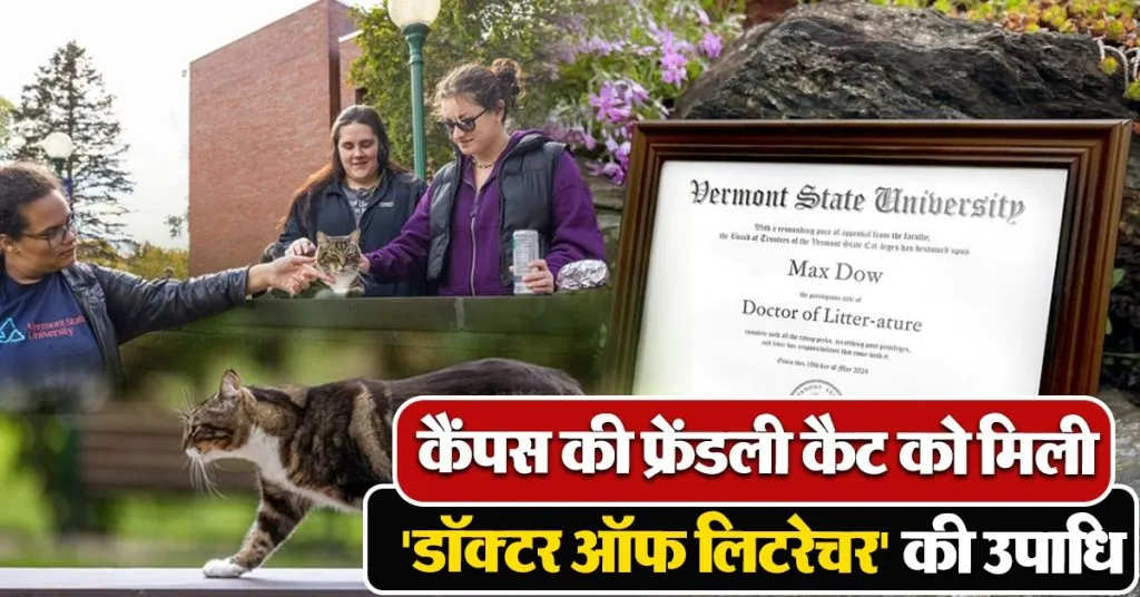 Cat honoured with doctorate degree