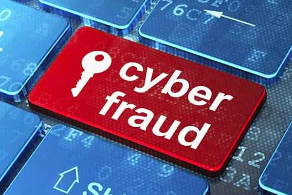 Government against Cyber Fraud
