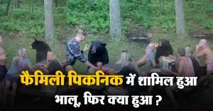 Bear Viral Video