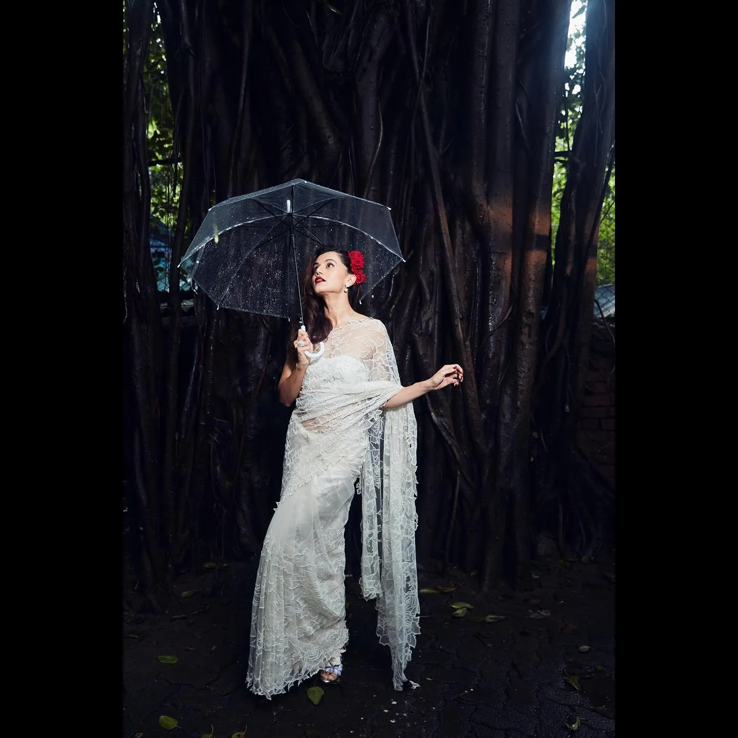 Taapsee Pannu Saree Looks: साड़ी पहन कहर बरपाती दिखीं तापसी पन्नू, देखें खूबसूरत तस्वीरें 10 452555013 510241638117403 5356607458081250393 n 1